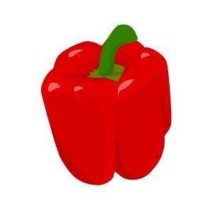 Capsicum