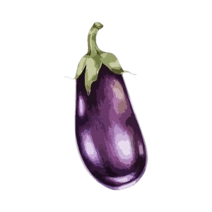 Brinjal