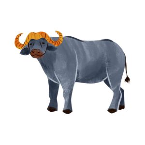 Buffalo