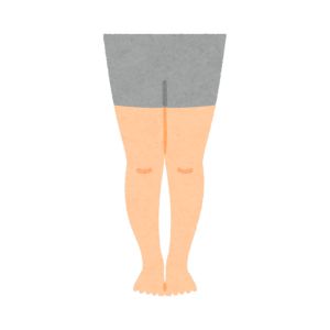 Legs