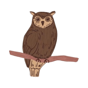 उल्लू